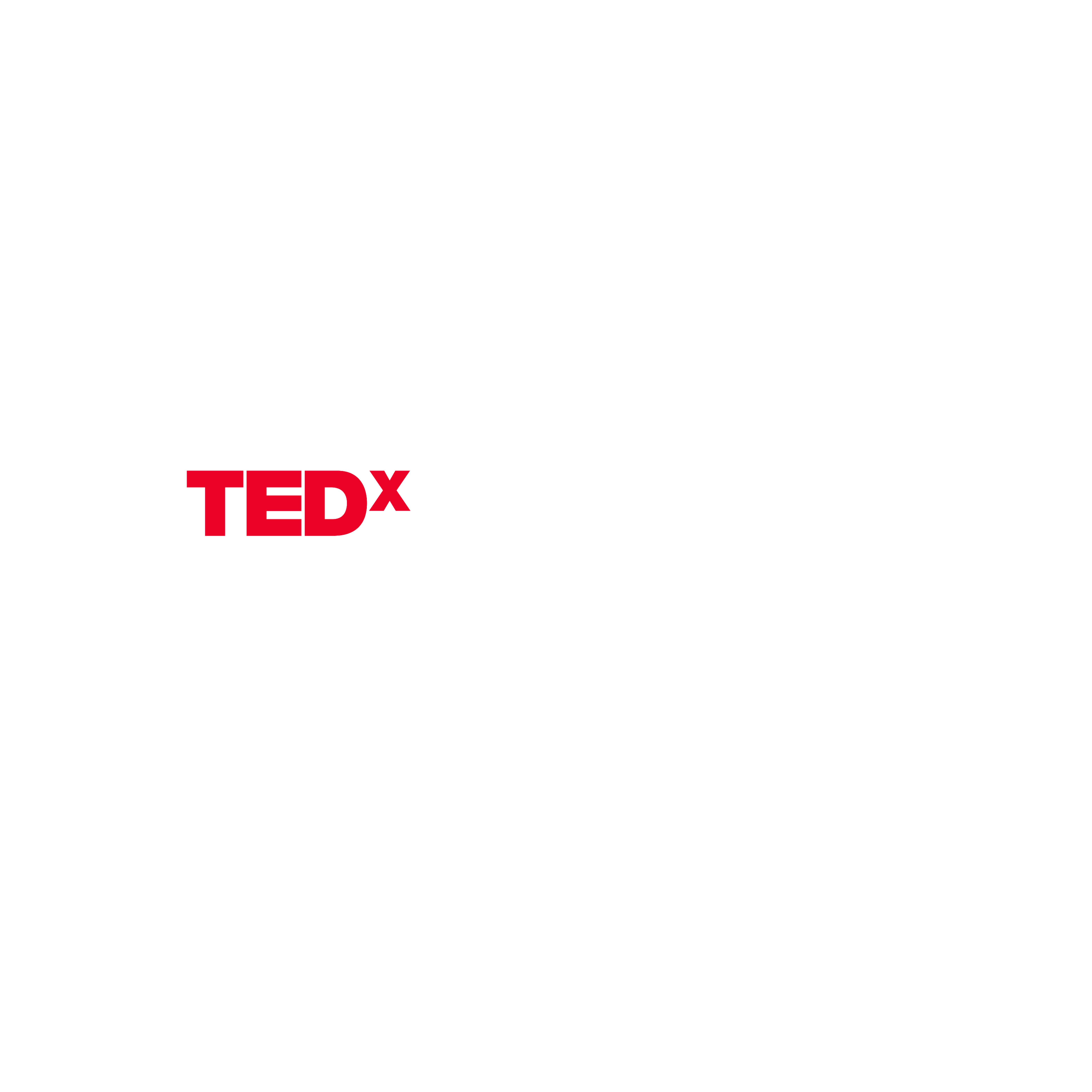 TEDxVinUniversity 26